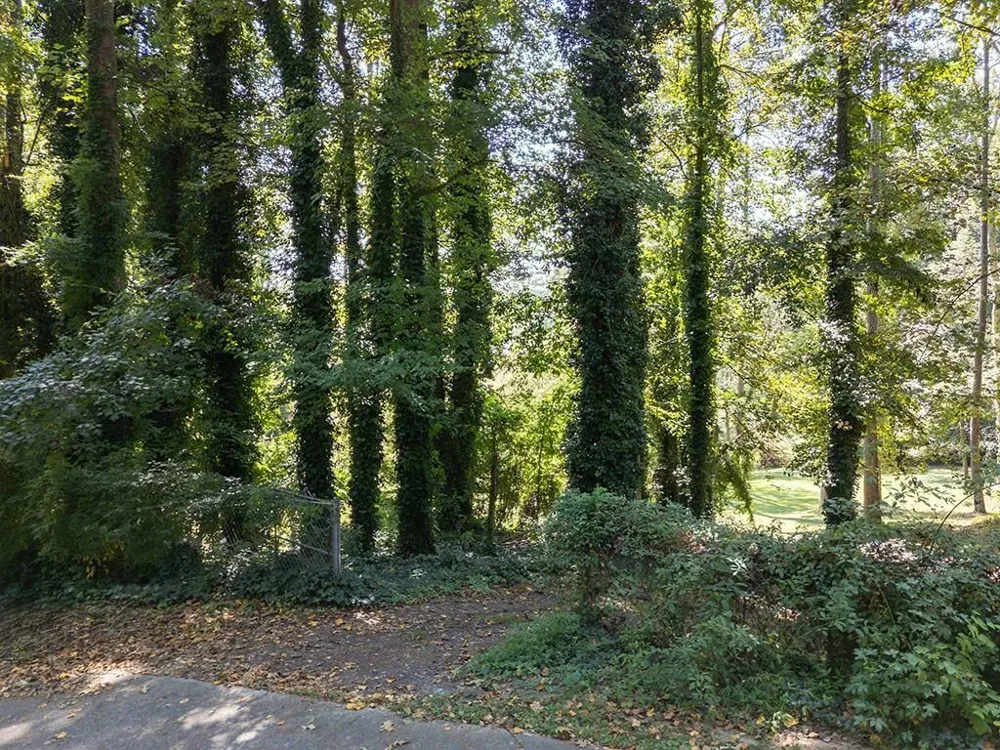 4398 King Valley Drive SE Smyrna, GA 30082