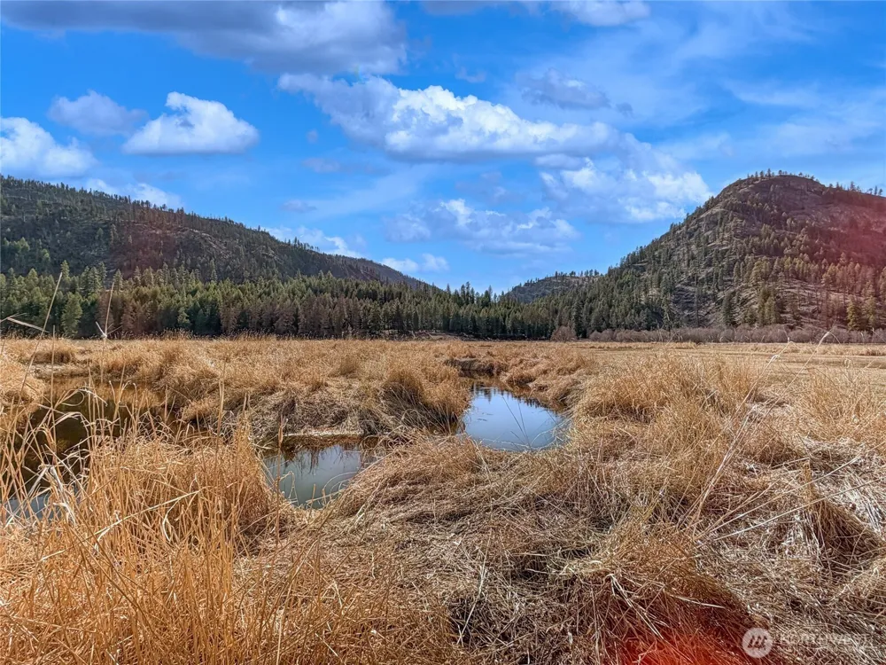 1721 Aeneas Valley Road Tonasket, WA 98855