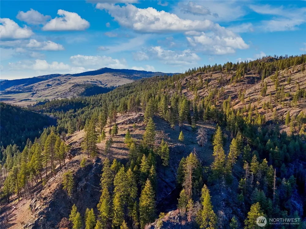 1721 Aeneas Valley Road Tonasket, WA 98855
