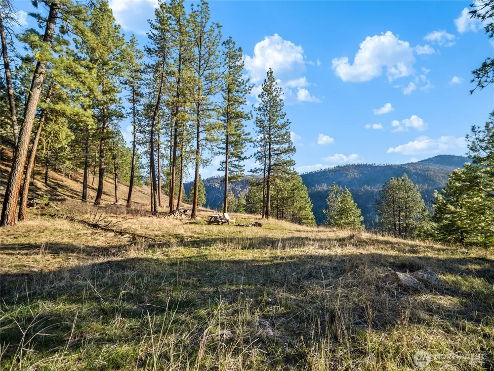 1721 Aeneas Valley Road Tonasket, WA 98855
