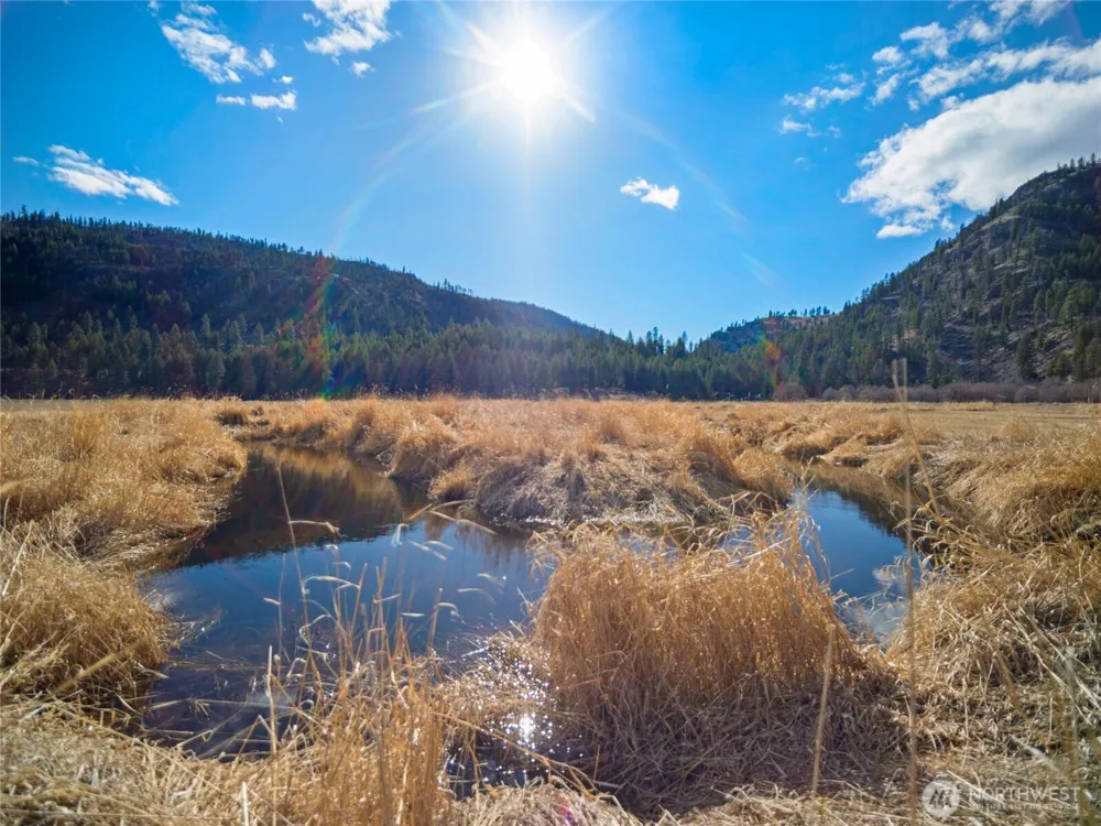 1721 Aeneas Valley Road Tonasket, WA 98855