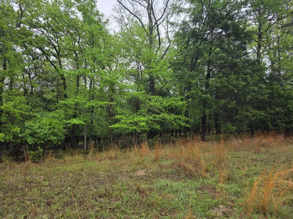7413 Quail Hollow Court Larue, TX 75770