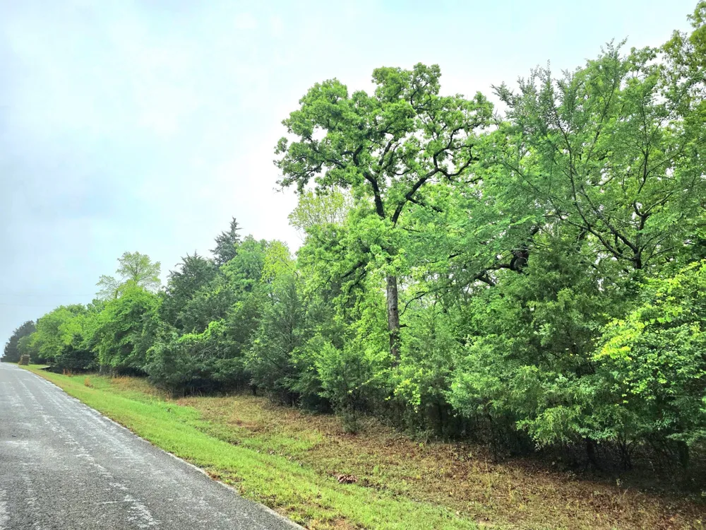 7413 Quail Hollow Court Larue, TX 75770