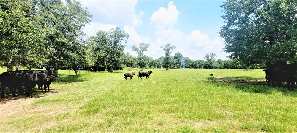 3321 County Road 457 Thorndale, TX 76577