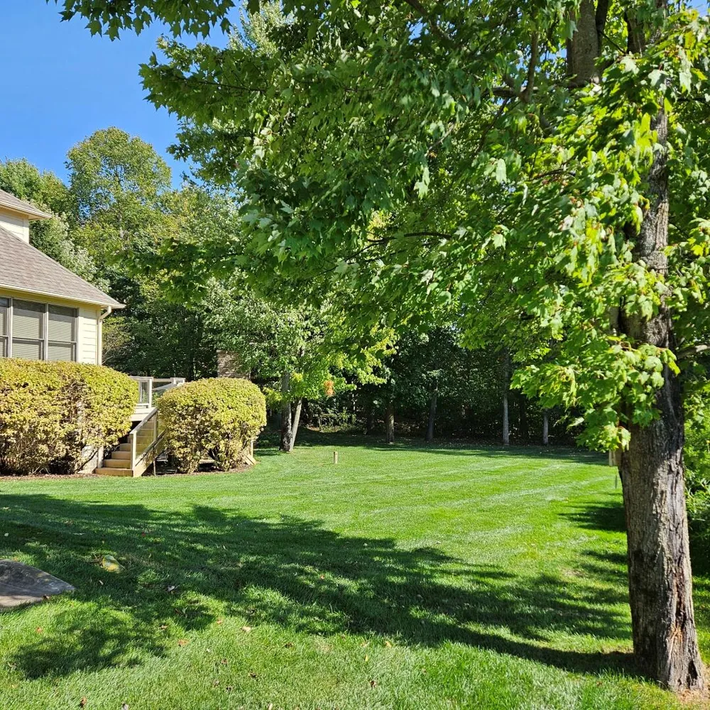 6245 Dublin Drive Morton Township, MI 49346