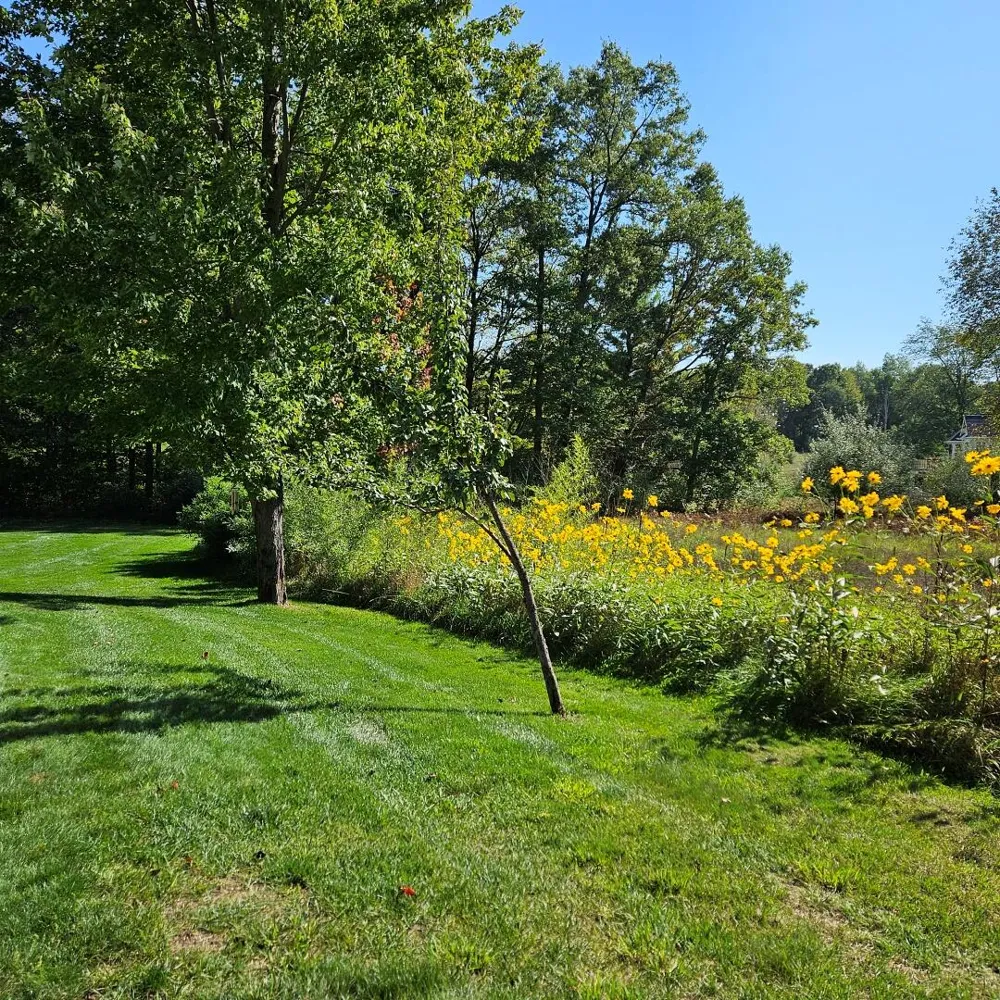 6245 Dublin Drive Morton Township, MI 49346