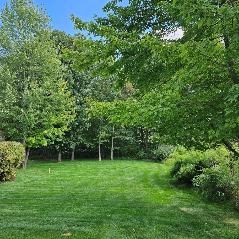6245 Dublin Drive Morton Township, MI 49346