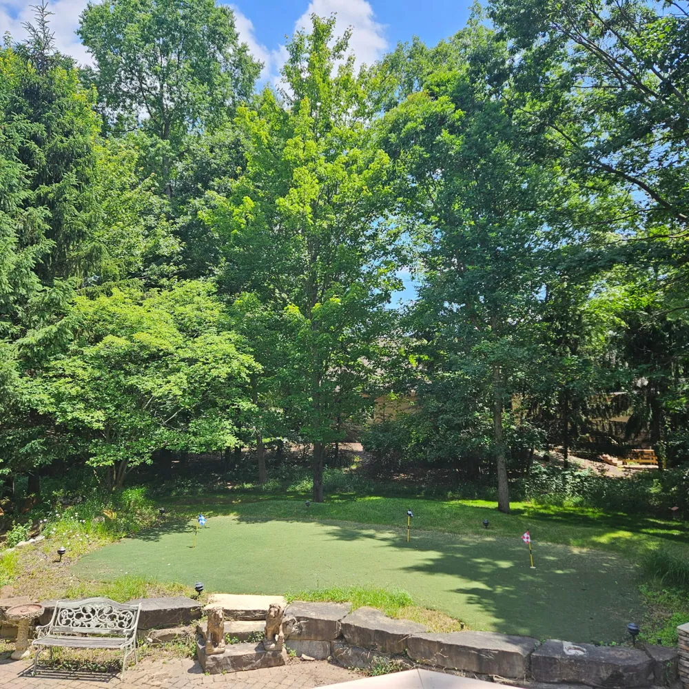 6245 Dublin Drive Morton Township, MI 49346