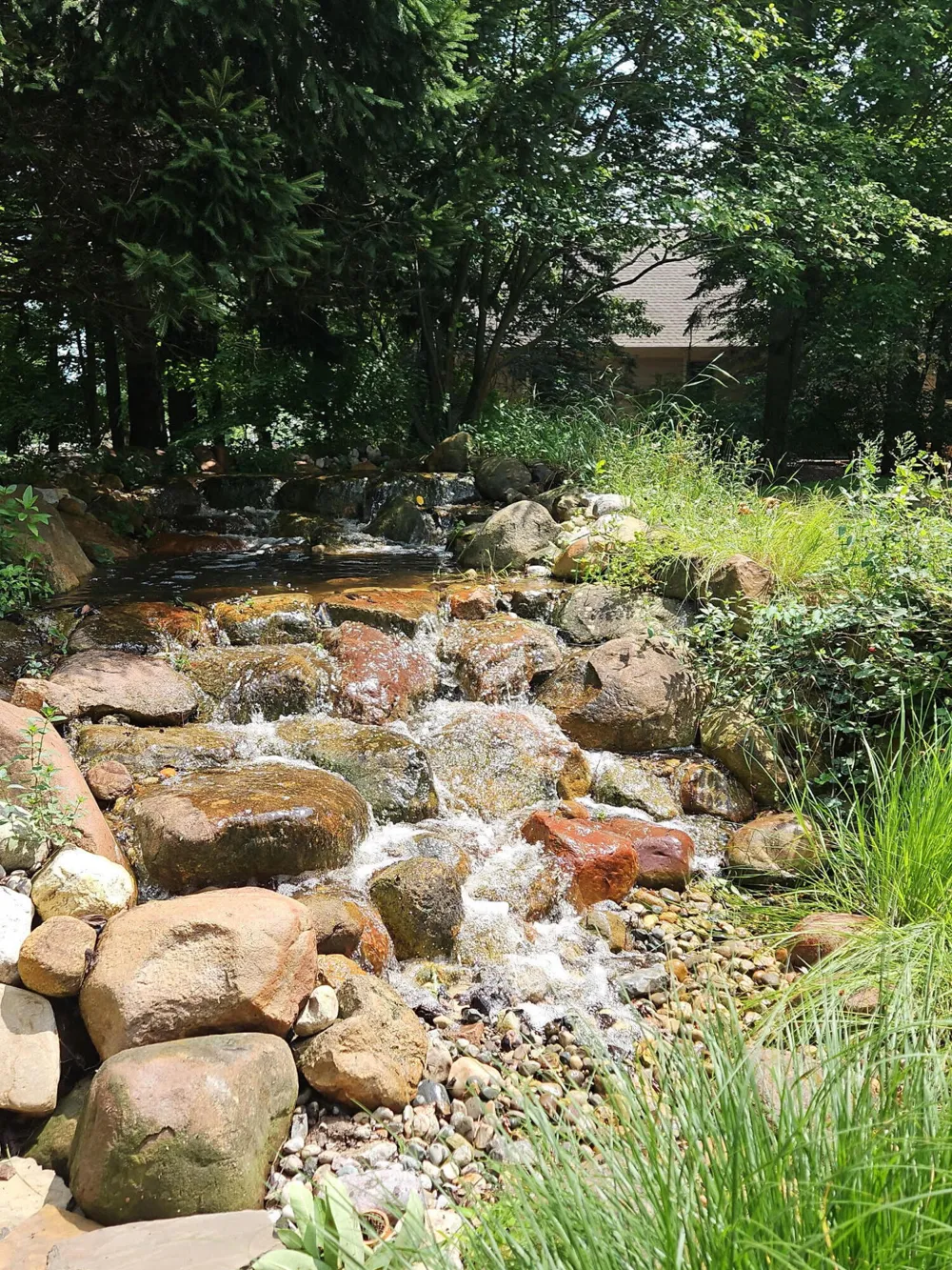 6245 Dublin Drive Morton Township, MI 49346
