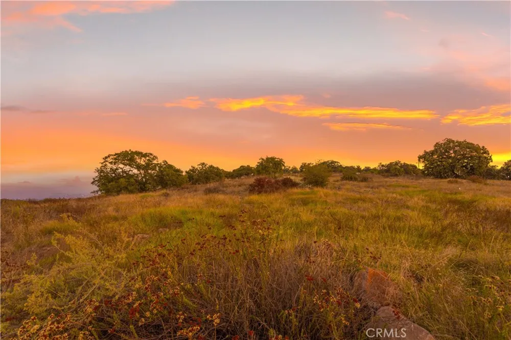 16 Avocado Mesa Road Murrieta, CA 92562