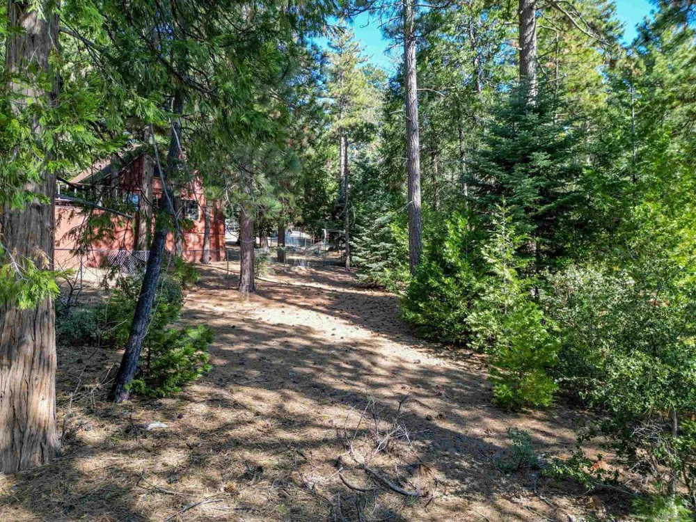Laurel Trail Lot Idyllwild, CA 92549