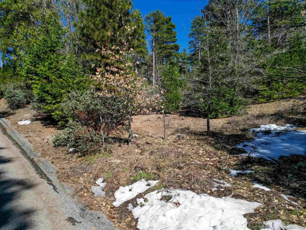 Laurel Trail Lot Idyllwild, CA 92549