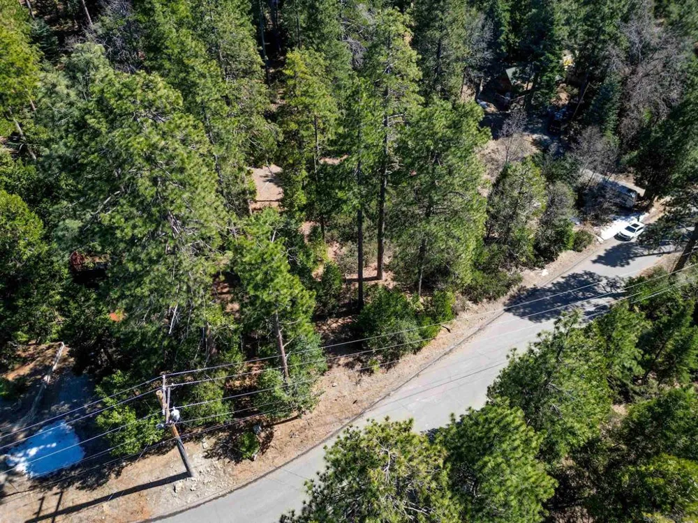 Laurel Trail Lot Idyllwild, CA 92549