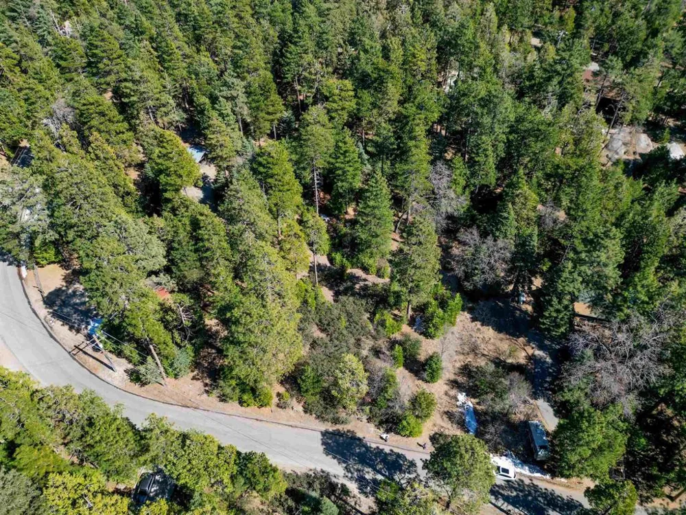 Laurel Trail Lot Idyllwild, CA 92549