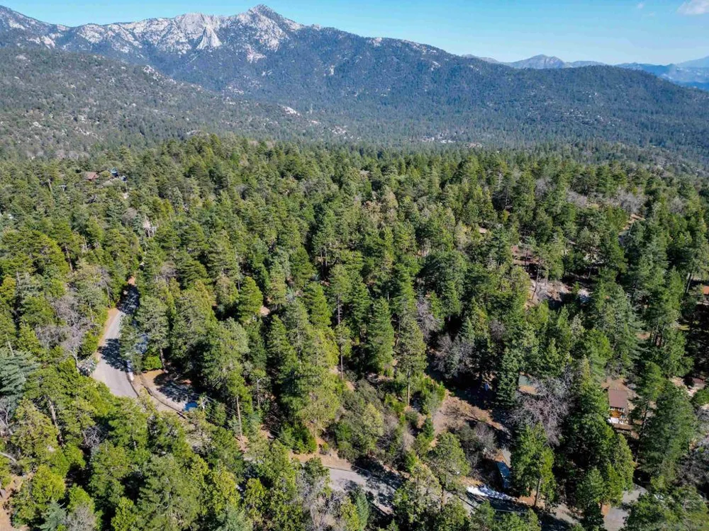 Laurel Trail Lot Idyllwild, CA 92549