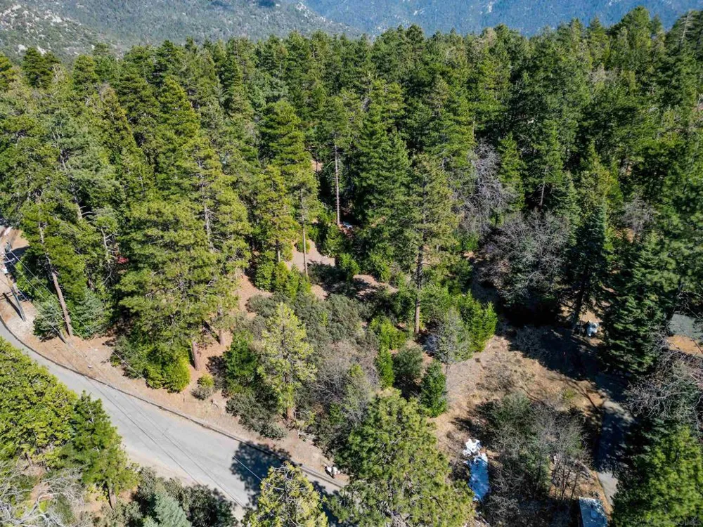 Laurel Trail Lot Idyllwild, CA 92549