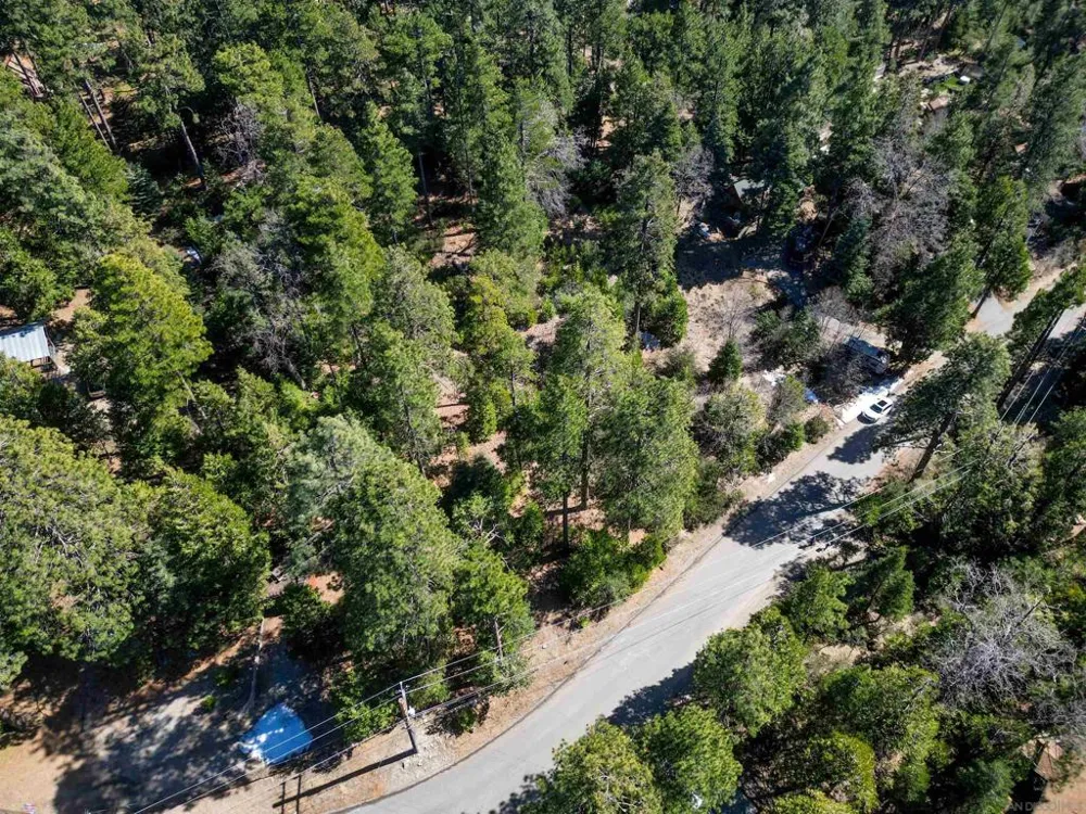 Laurel Trail Lot Idyllwild, CA 92549