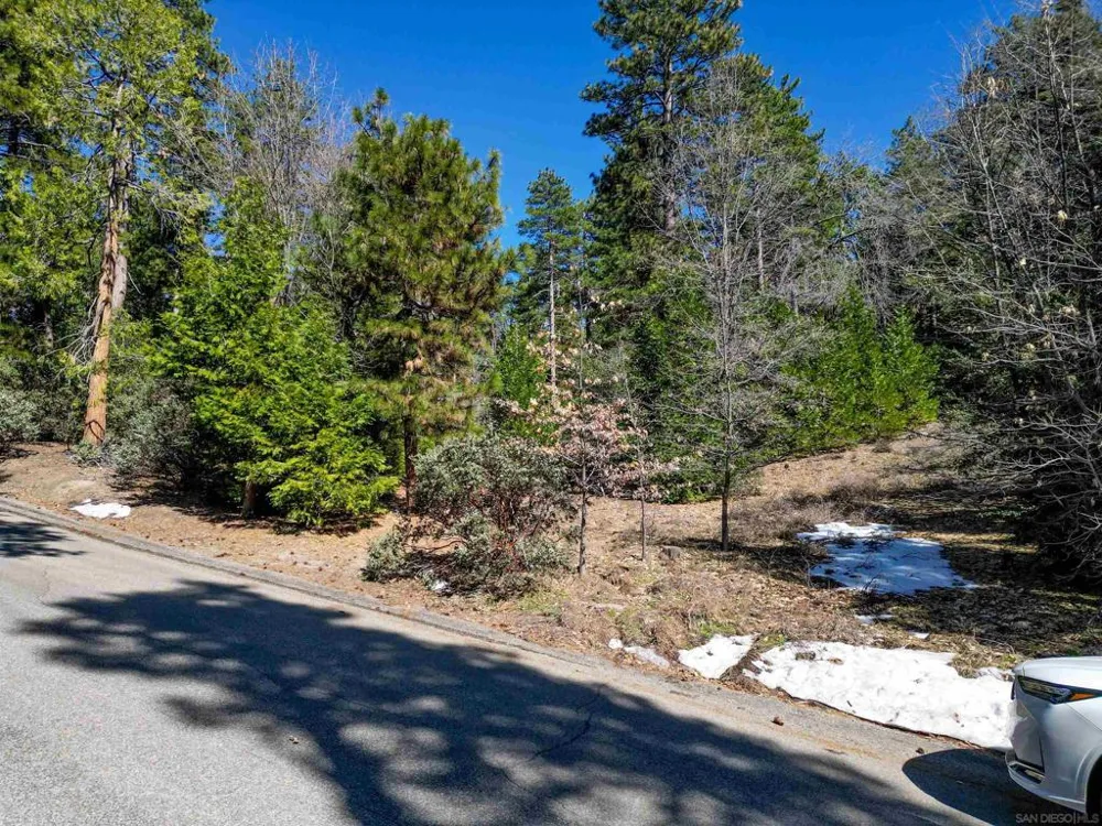 Laurel Trail Lot Idyllwild, CA 92549