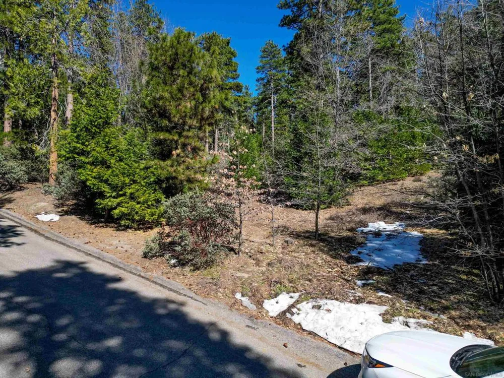 Laurel Trail Lot Idyllwild, CA 92549