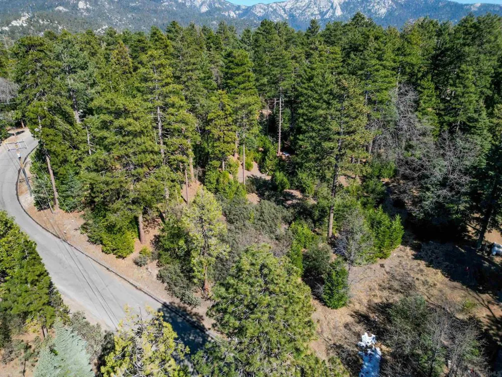 Laurel Trail Lot Idyllwild, CA 92549