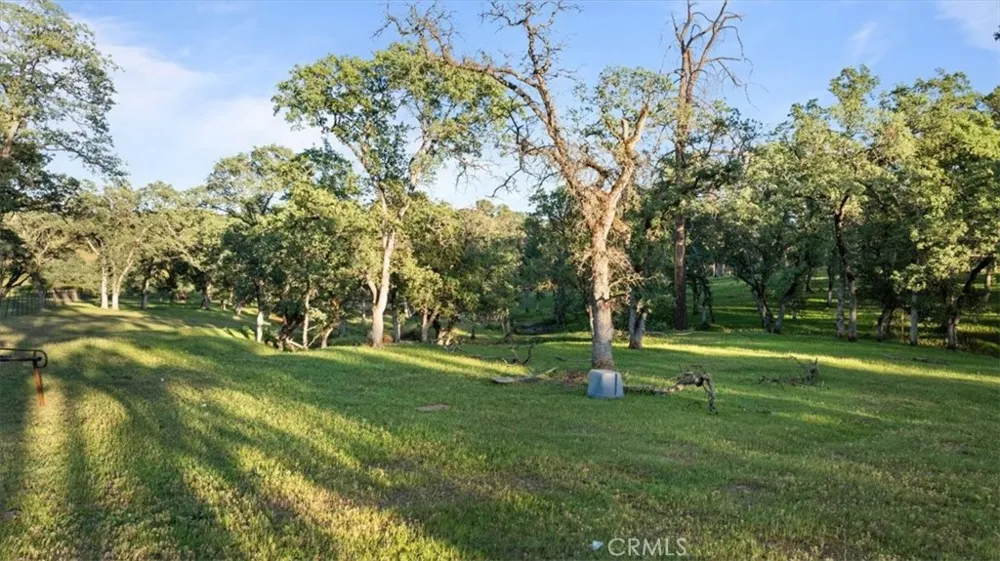 Bethridge Oroville, CA 95966