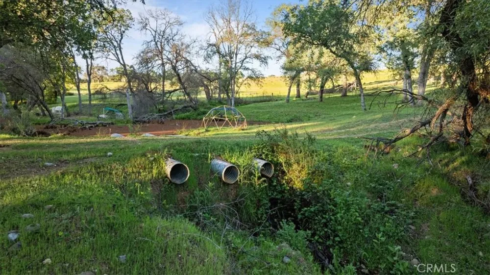 Bethridge Oroville, CA 95966