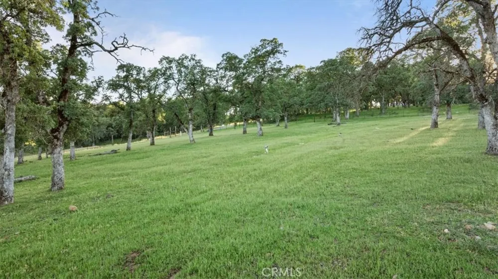 Bethridge Oroville, CA 95966