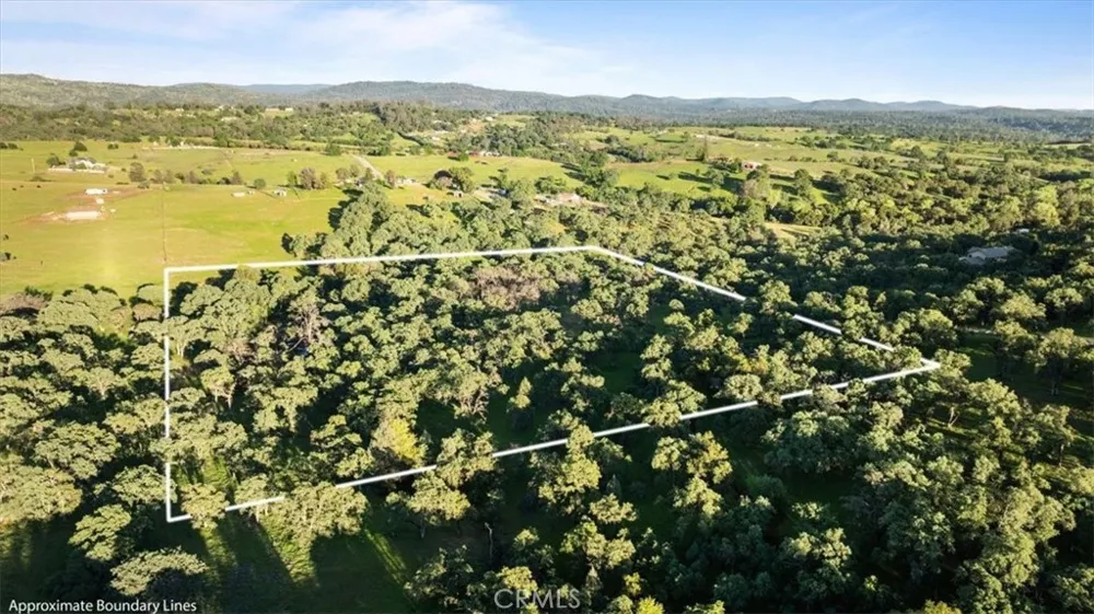 Bethridge Oroville, CA 95966