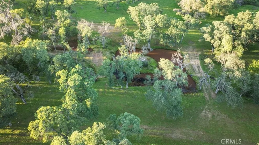 Bethridge Oroville, CA 95966
