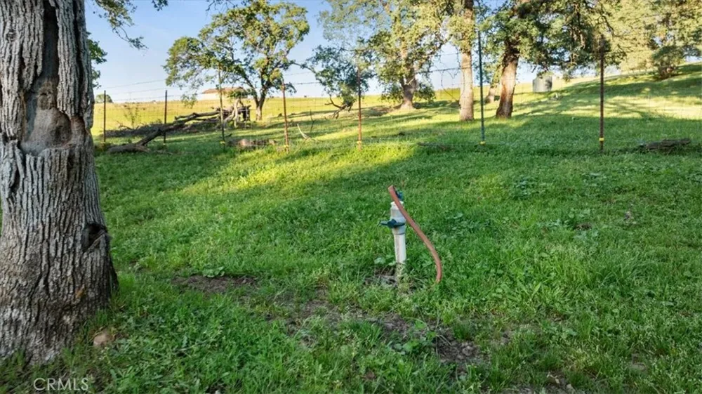 Bethridge Oroville, CA 95966