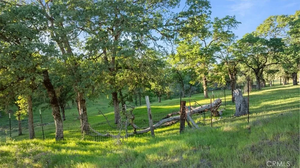 Bethridge Oroville, CA 95966