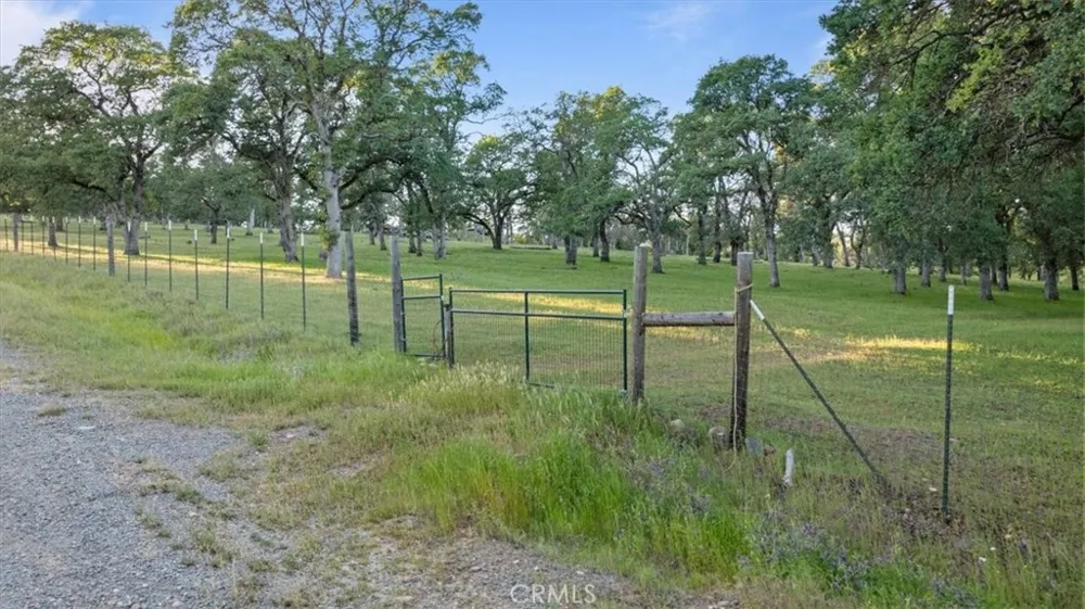 Bethridge Oroville, CA 95966
