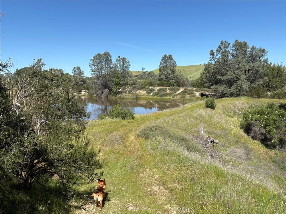 705 Calf Canyon Creston, CA 93432