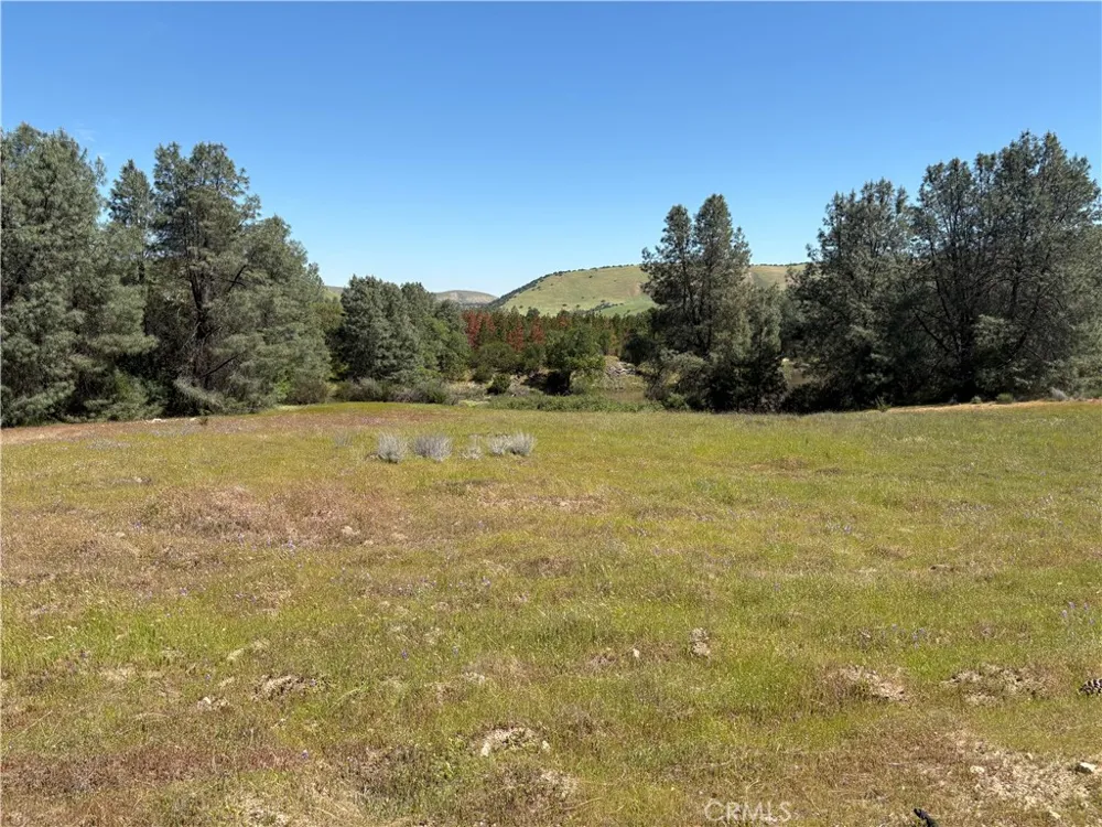 705 Calf Canyon Creston, CA 93432