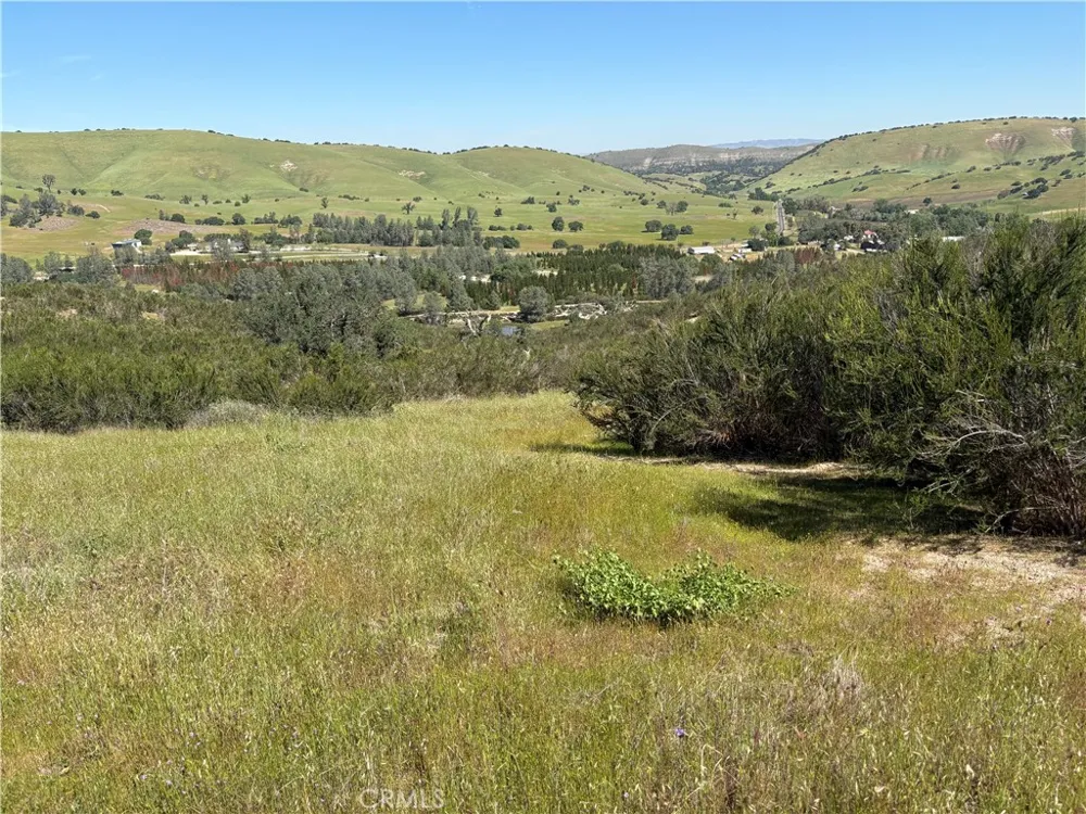 705 Calf Canyon Creston, CA 93432