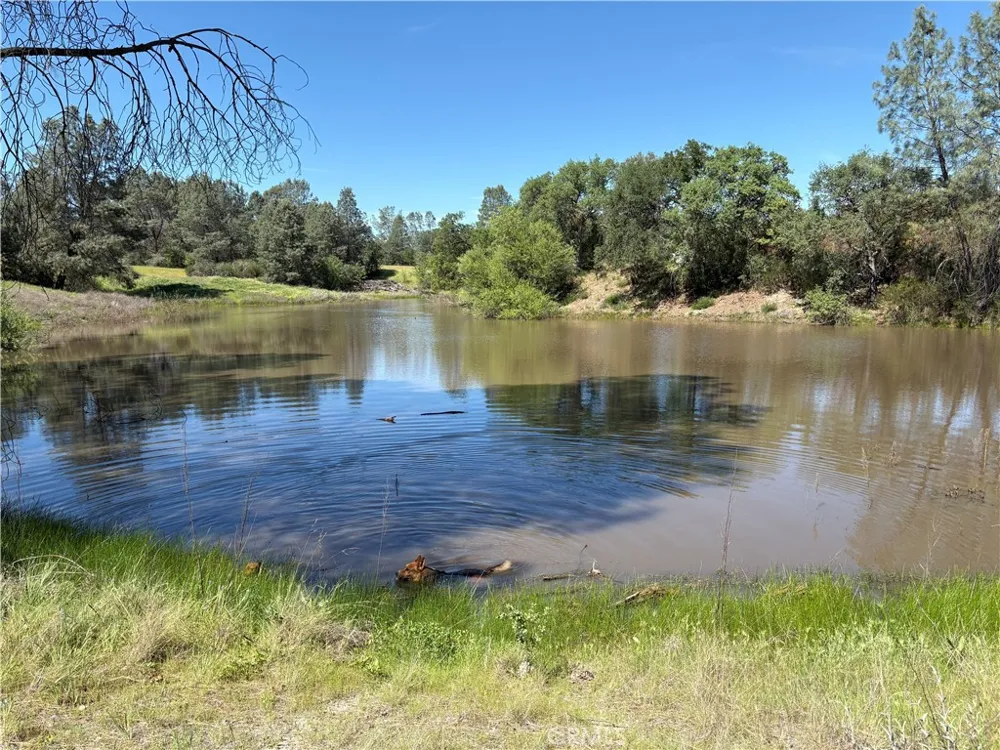705 Calf Canyon Creston, CA 93432