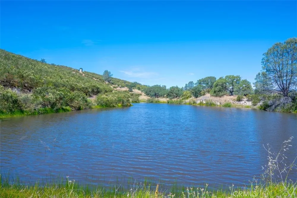 705 Calf Canyon Creston, CA 93432