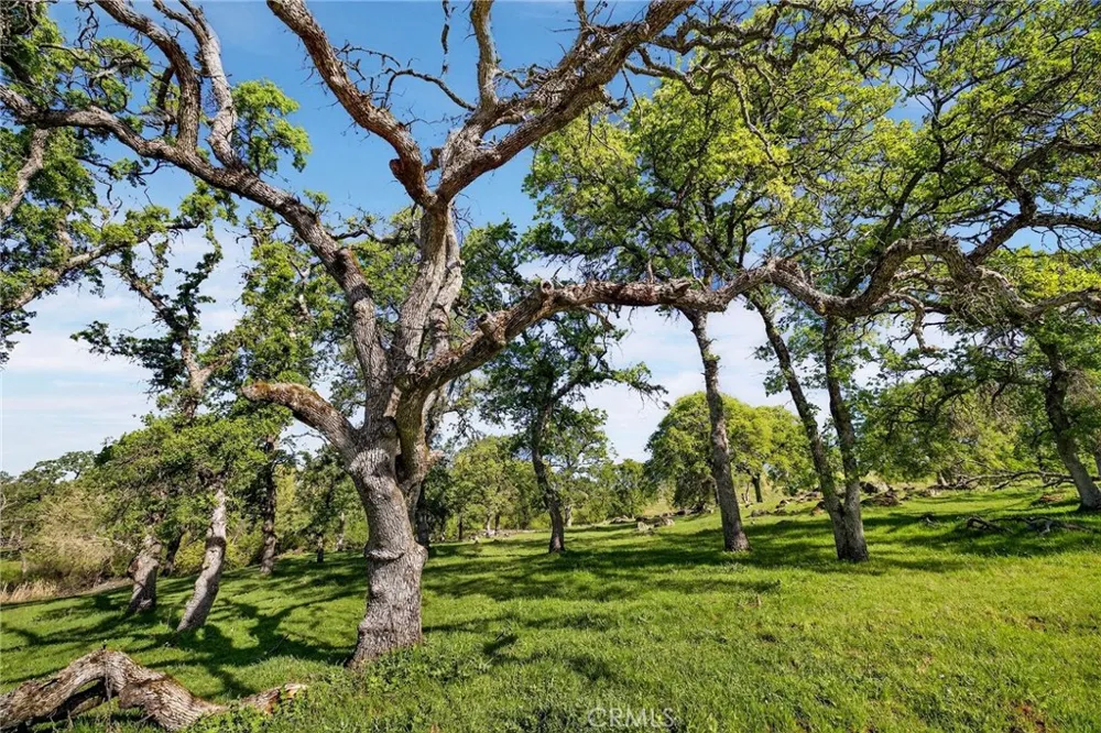 7680 Walsh Smartsville, CA 95977