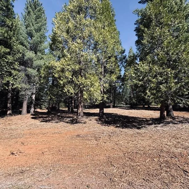806 Red River Drive Lake Almanor, CA 96137