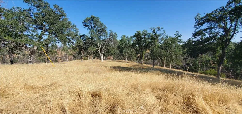 15687 Stagecoach Corning, CA 96021