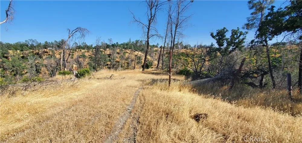 15687 Stagecoach Corning, CA 96021