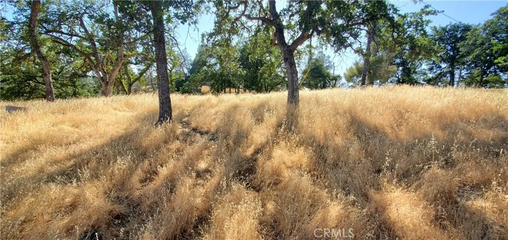 15687 Stagecoach Corning, CA 96021