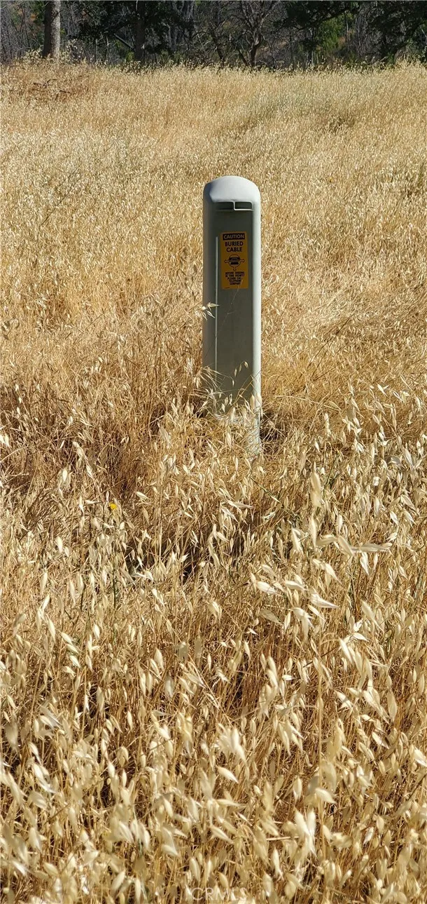 15687 Stagecoach Corning, CA 96021