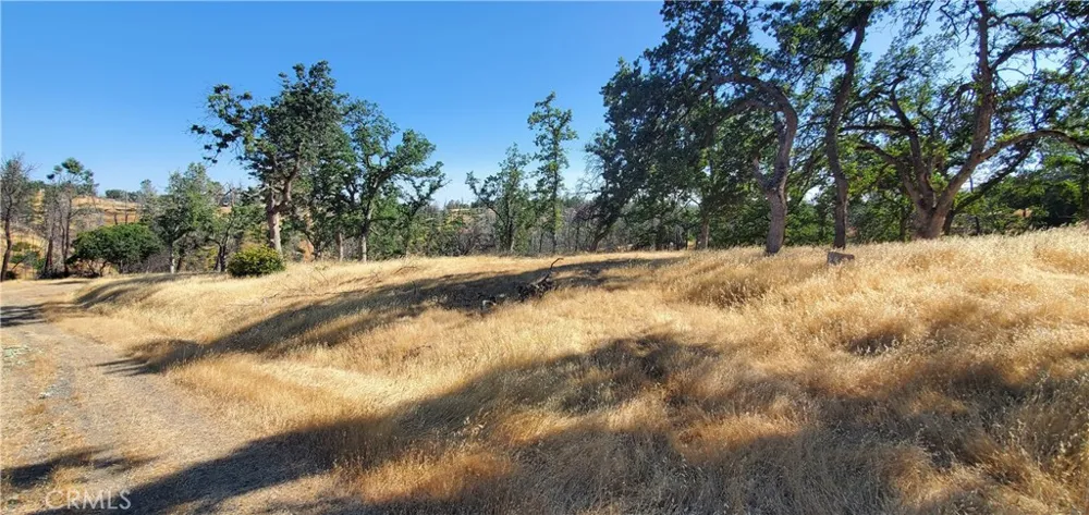15687 Stagecoach Corning, CA 96021