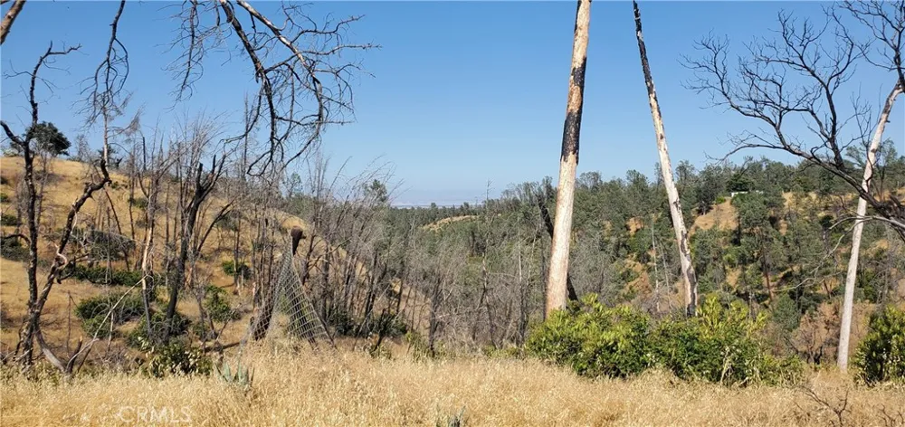 15687 Stagecoach Corning, CA 96021