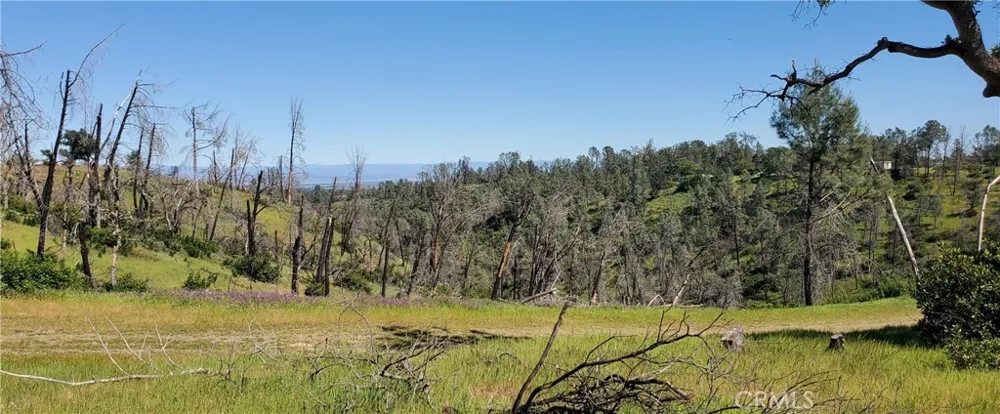 15687 Stagecoach Corning, CA 96021