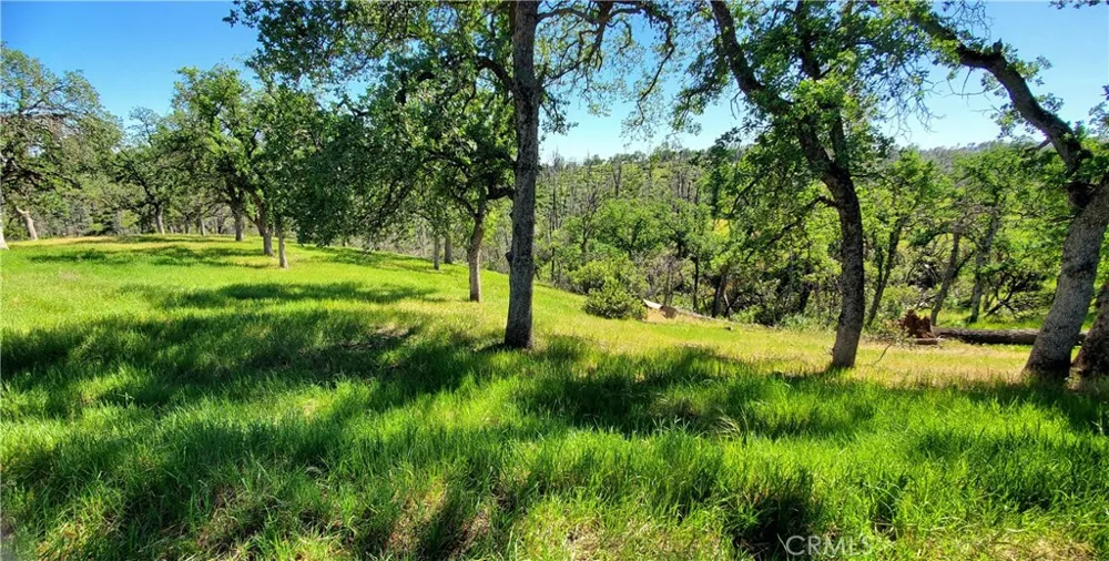 15687 Stagecoach Corning, CA 96021