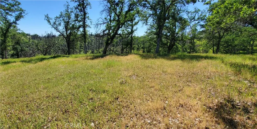 15687 Stagecoach Corning, CA 96021