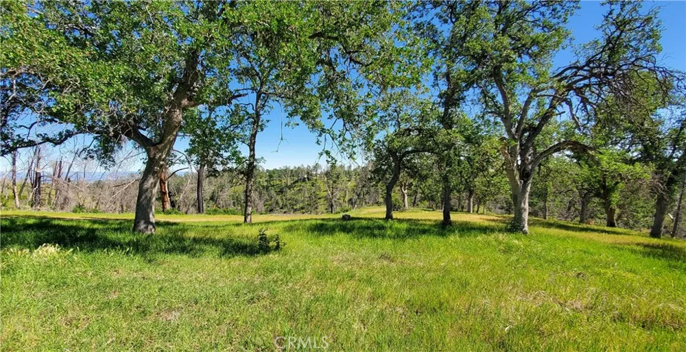 15687 Stagecoach Corning, CA 96021