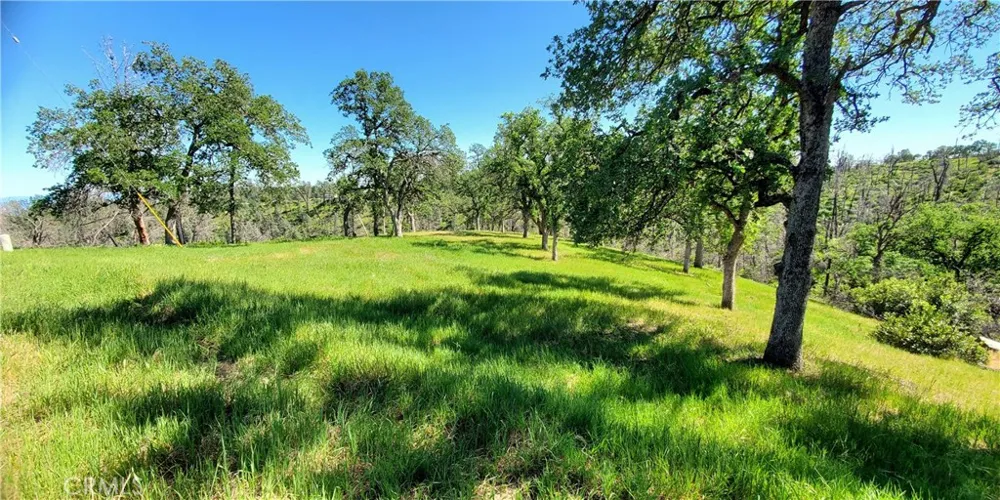 15687 Stagecoach Corning, CA 96021